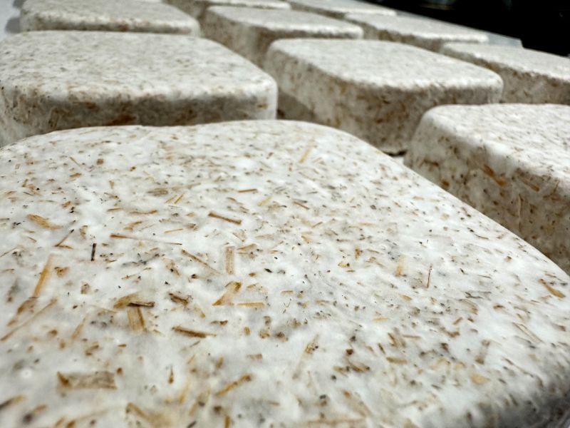 Mycelium insert blocks in production — surface texture detail