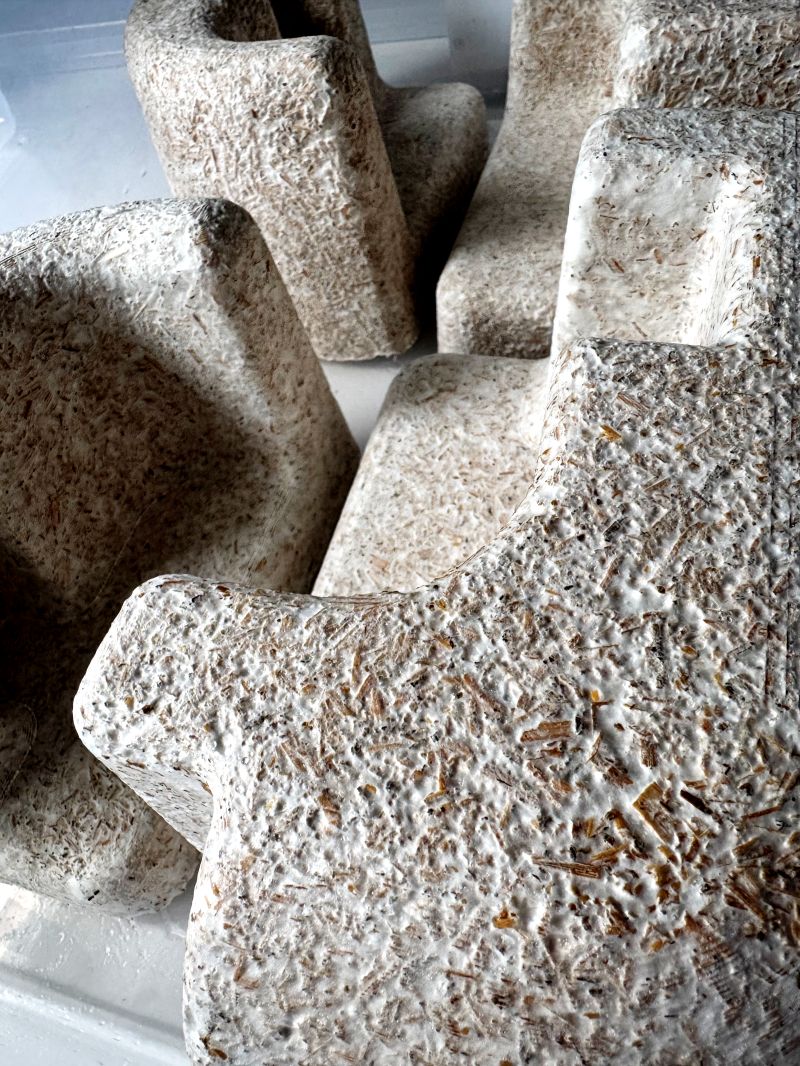 Multiple mycelium inserts showing structural forms