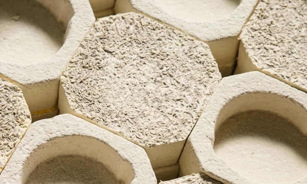 Mycelium insert with glass bottle — sustainable bio-based packaging