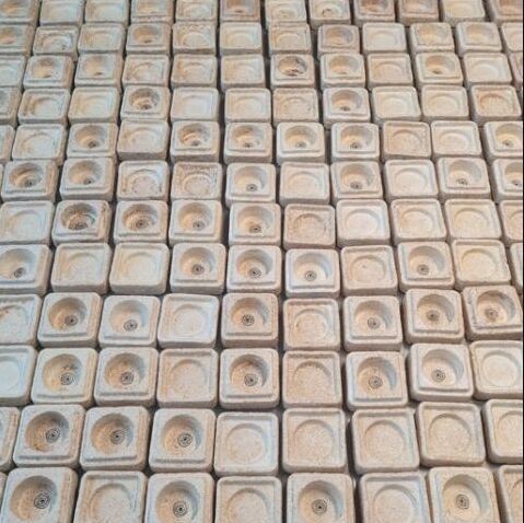 Production batch — mycelium-based inserts in organized arrangement